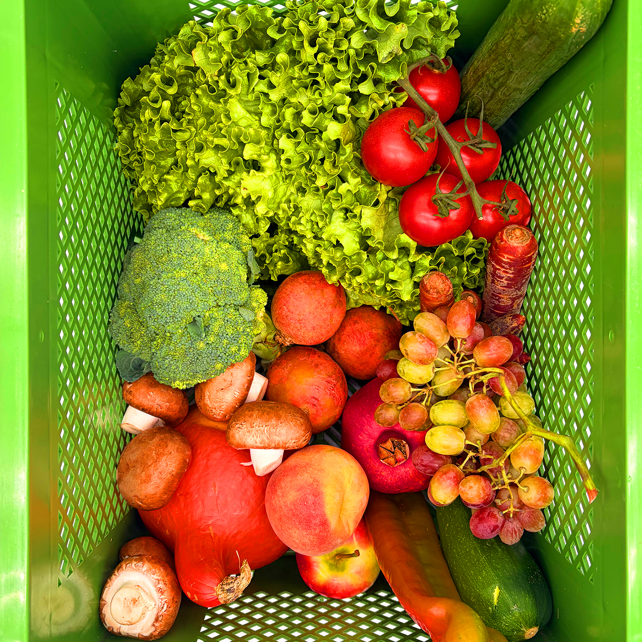 Ökokiste Obst/Gemüse mittel