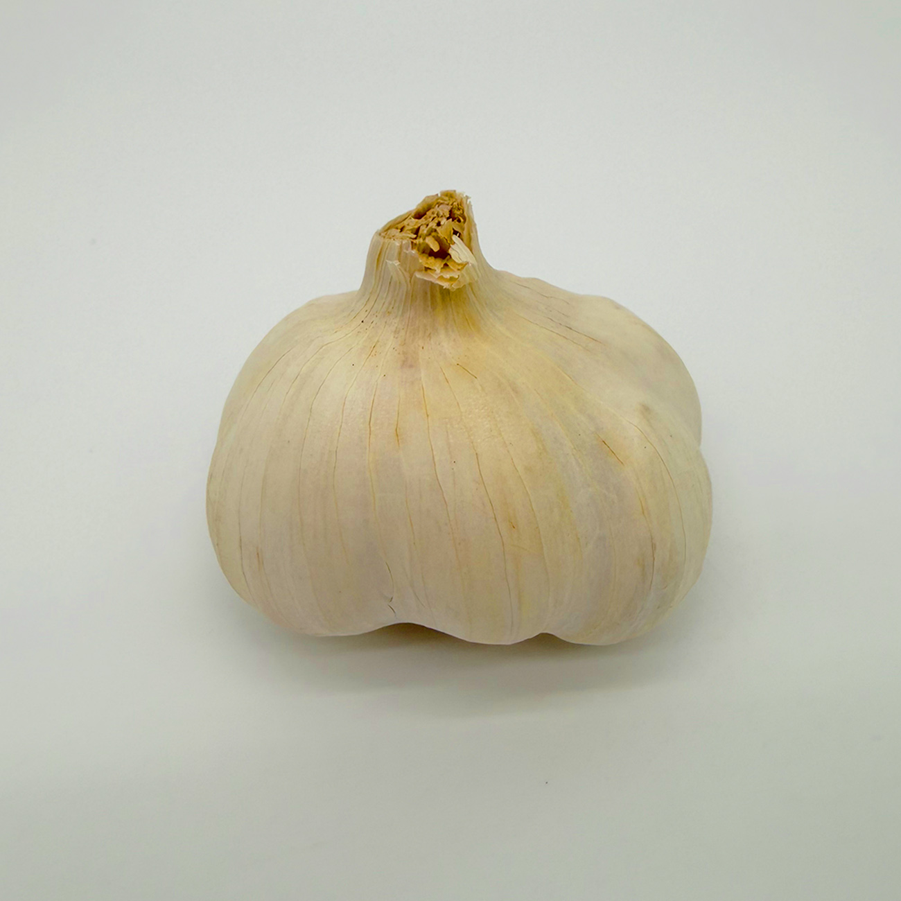 Knoblauch