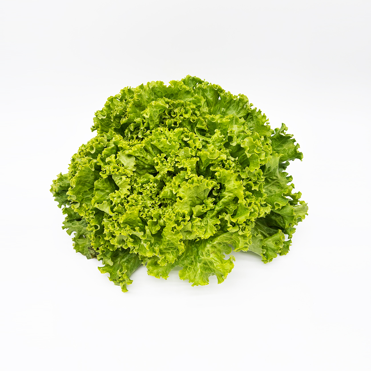 Blattsalat der Woche