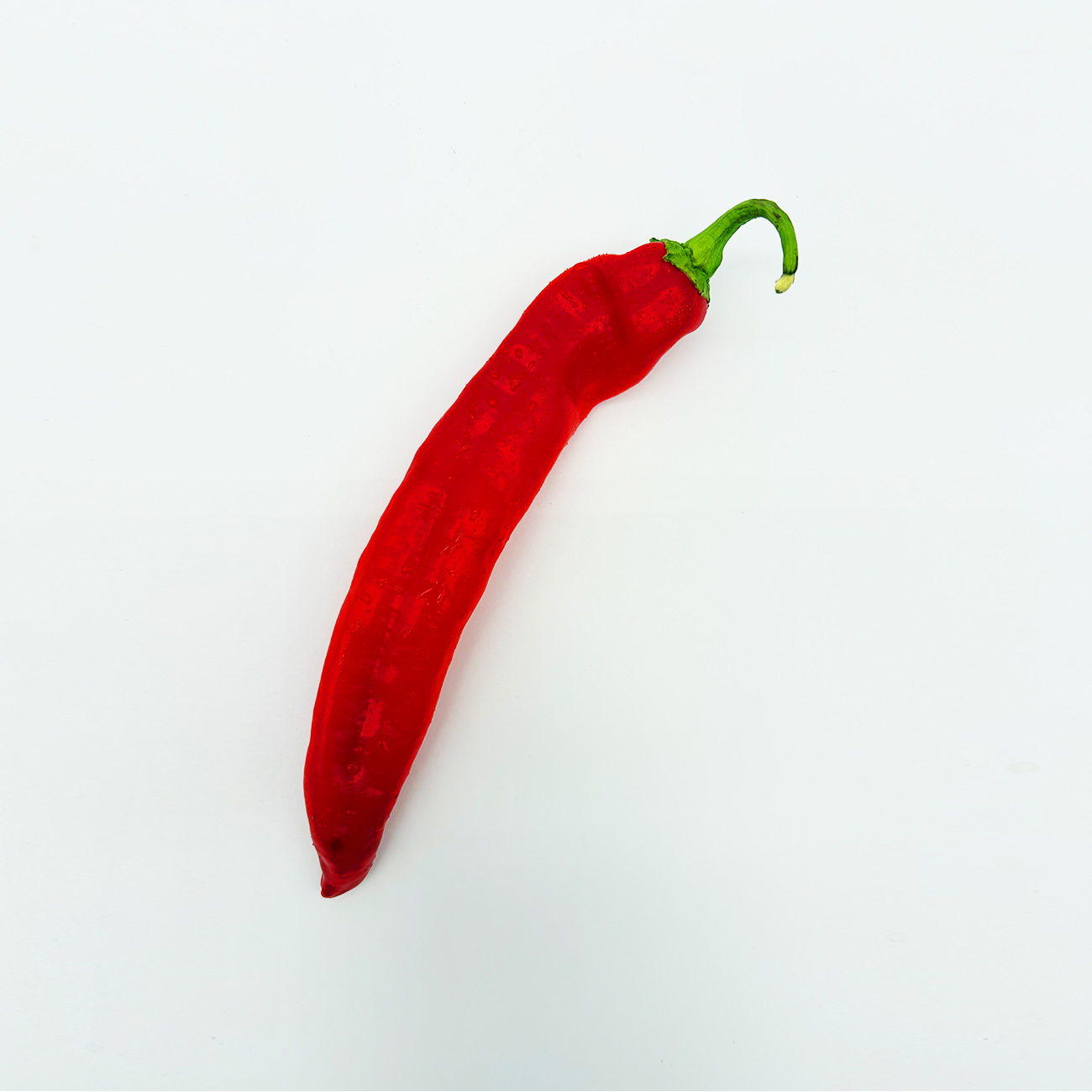 Spitzpaprika rot